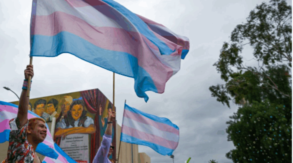The space between American LGBTQ+ and trans populations