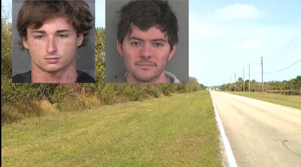 Teen Kills and Dismembers Local Sex Offender