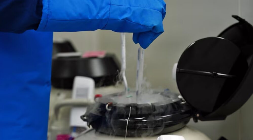 Losing Time While Doing Time: Is Egg Freezing a Reproductive Right?